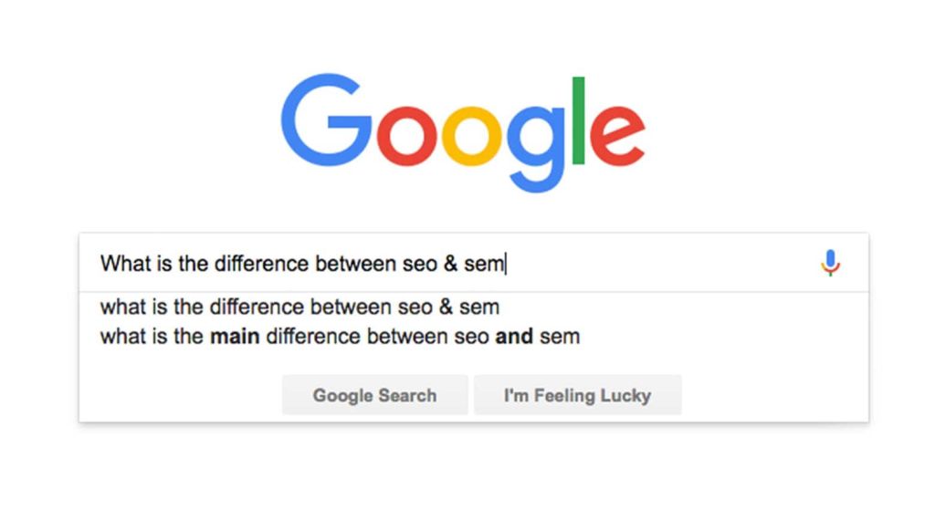 Searching in Google for the difference between SEO and SEM